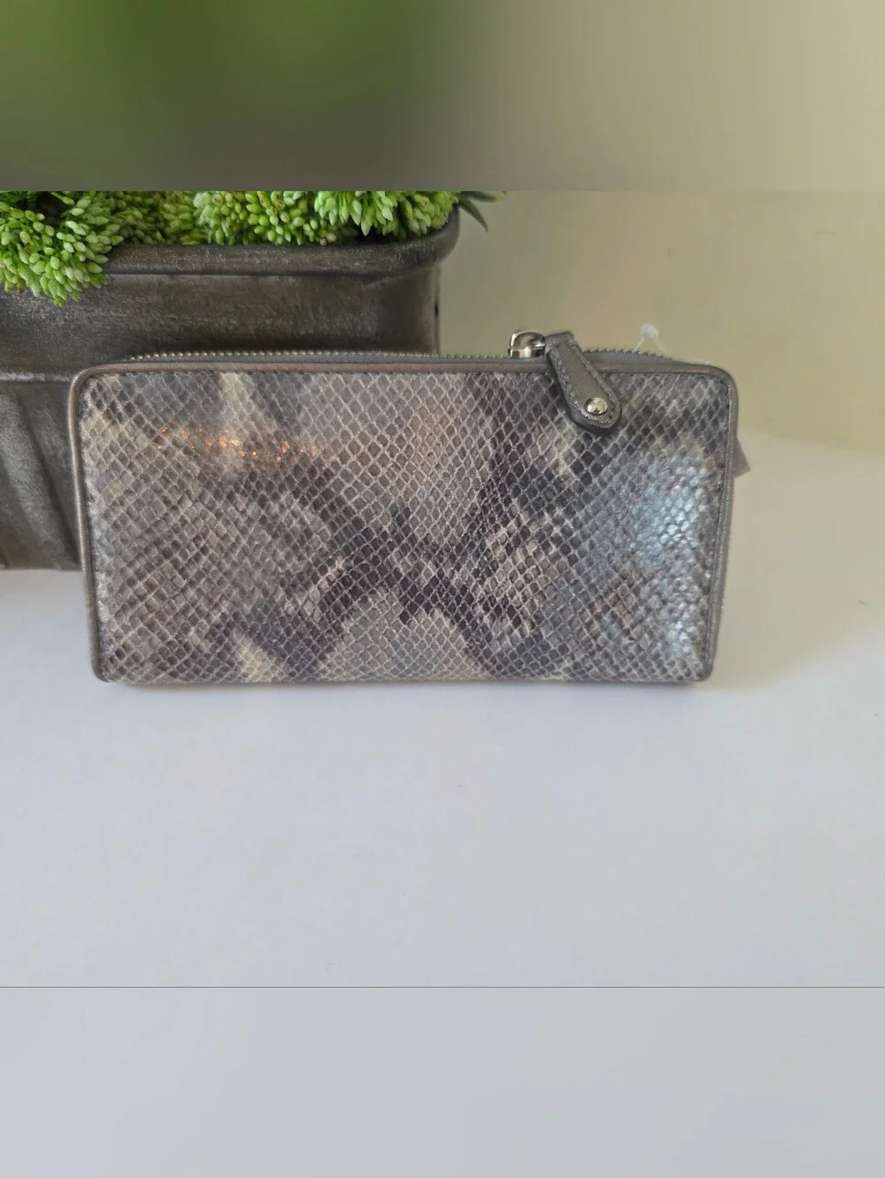 Coach Campbell  Embossed Leather Large Satchel Wallet Set Neutral Snakeskin